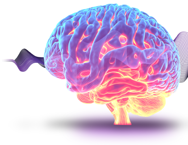 mind_img_5