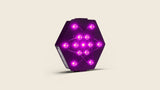 Atom Light img