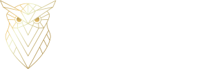 SAGE SPACE TECHNOLOGIES