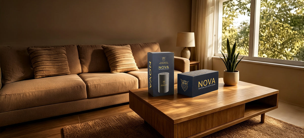 Nova on a desk